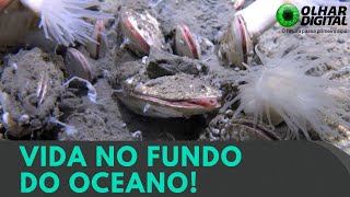 Miniatura do vídeo