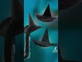 The Wicked Witch of the West hat is coming up for auction