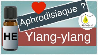 L'ylang-ylang, aphrodisiaque et toutes ses autres propriétés