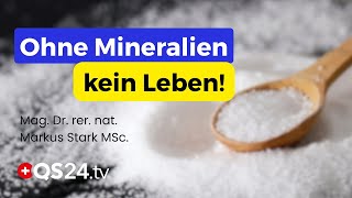 Spurenelemente & Mineralien – So wichtig sind sie wirklich! | Naturmedizin | QS24