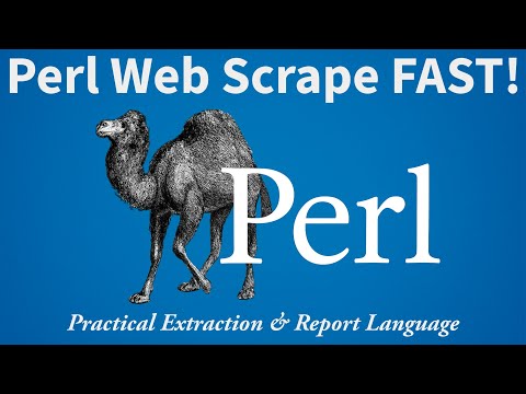 How to Get Website HTML with Perl (Search Keywords + Print Characters 0–100) — Beginner Guide!