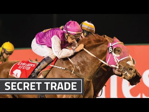 Race 4 - emirates.com [Oct 24, 2019]