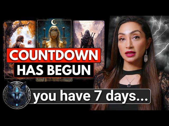 The Countdown Begins: What to Expect in the Next 7 Days | Magica