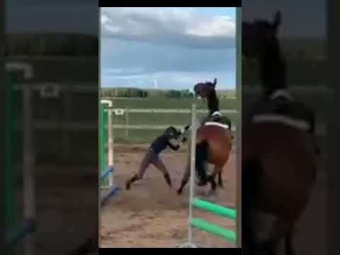 👤: jazda konna jest łatwa, tylko siedzisz na koniu.