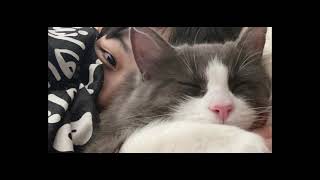 ฝากดาวดูแล – MaryJane ft. Crappy