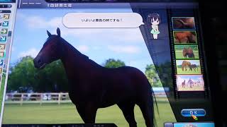 【スタホ4／スターホース4】スターホース4をやってみた《特别編》 〜新たな血統〜