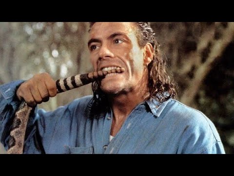 NUNCA ABANDONAN A LOS SUYOS | Película Completa de Acción en Español
