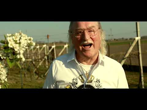 Gianni Dego - Il sogno della farfalla