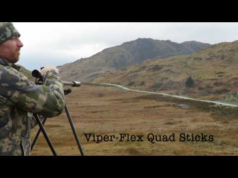 .260 Remington på 410 yards fra Viper-Flex quad sticks