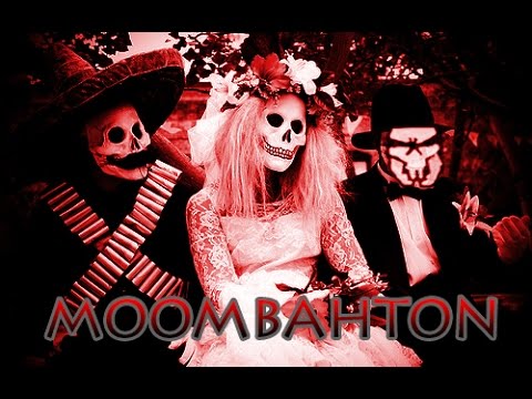 Cientifico Loco: Moombahton mix