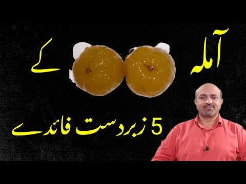 Amla Health Benefits  | Amla Kay Fayde | Indian Gooseberry | How to make Amla Juice | dr afzal