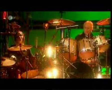 ROGER TAYLOR with The Corrs - TOSS THE FEATHERS