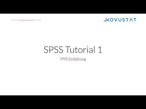 Novustat.com | SPSS Tutorial Nummer 1: SPSS Einführung