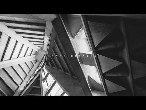 Karl Schoenberg - Consciousness