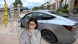 クロアチア到着初日、テスラを傷つけた。修理費は約64万円…自己負担はいくら?