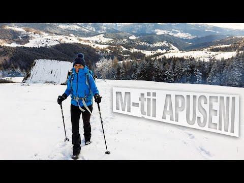 Cum ajungi de la Arieșeni la Padiș. Vizitând una dintre cele mai frumoase belvederi din Apuseni!