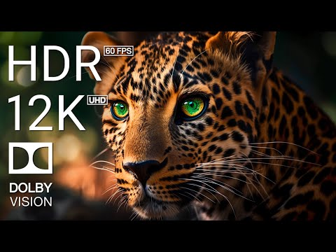 TOP 10 • THE GREAT HUNTER - 4K HDR 60FPS DOLBY VISION - TRUE CINEMATIC