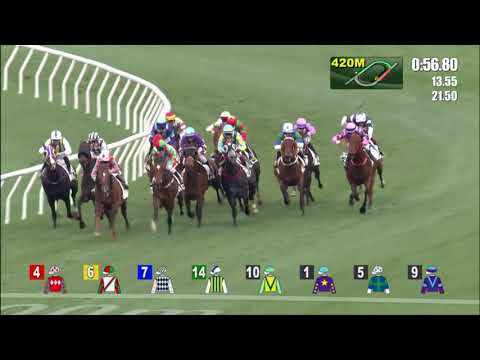 3/2/2022 (393) Running Glory -  J Moreira