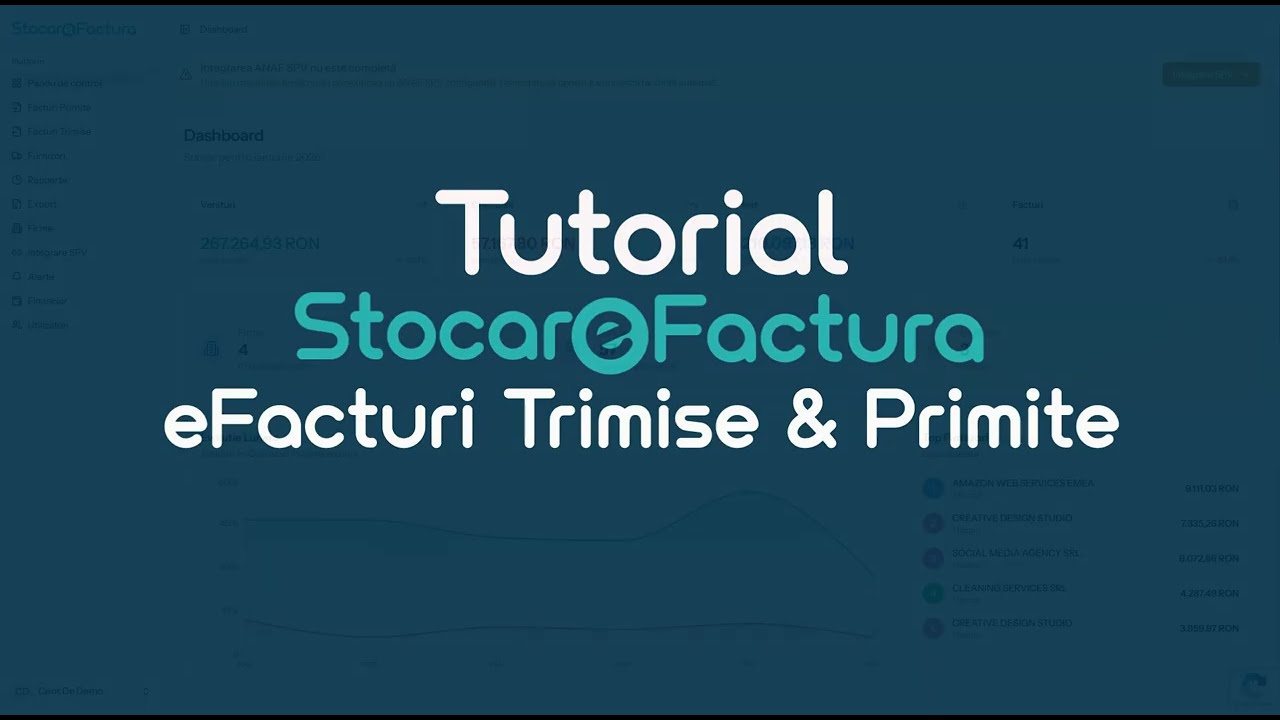 Facturi Primite si Trimise in Stocare Factura | Cum sa Navighezi si Filtrezi