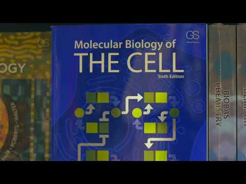 Akademika fagbokhandel