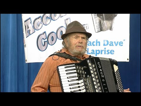 Accordion Cool 3222