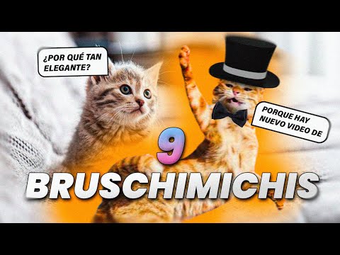 THE BEST OF THE BRUSCHIMICHIS 9 - PABLO BRUSCHI