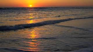 Pooh - Sogno a mezza estate