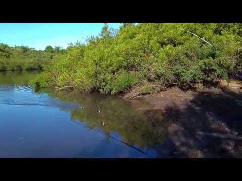 Pescando en el Yerbal