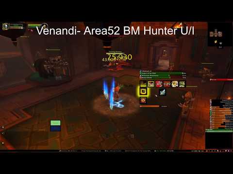 WoW  BFA (8.3) BM Hunter UI