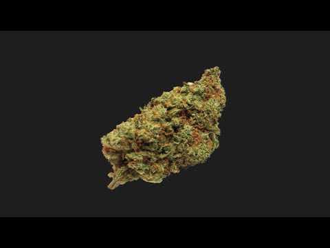 *FREE* Vald X Seezy Type Beat - "Kush" | Prod. Bumpo