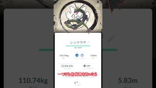一度でも色背景を取ればお前はもう後戻りできなくなる  仮面ライダー龍騎＃short ＃ポケモン ＃ポケモンGO ＃pokemonGO ＃pokemon ＃ゆっくり＃ショート