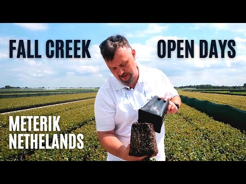 Fall Creek  - Open Days, Meterik, Nethelands 2020