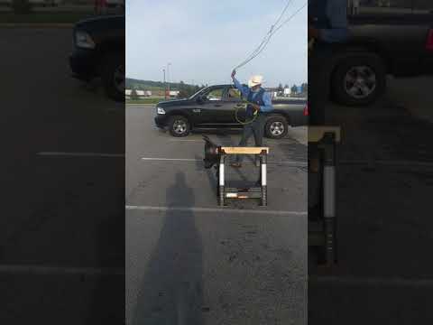 Ranch Roping: The Del Viento