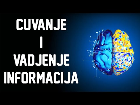 Kako nas Mozak Cuva i Preuzima Informacije