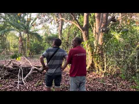 Ategorrieta Martí Matanzas . Cuba 🇨🇺 2024