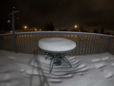 Overnight Snowfall 2019 12 13