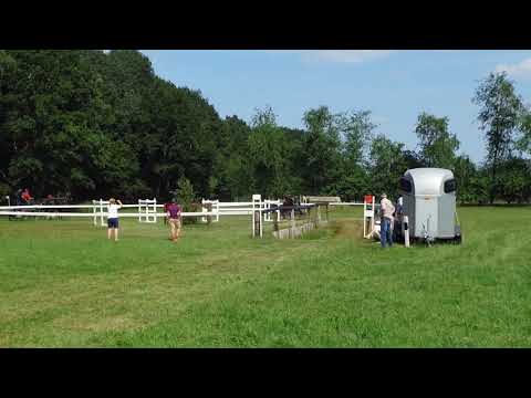 Fahrturnier Neu Versen 23.6.2019