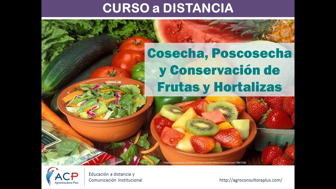 Curso a Distancia | Cosecha, Poscosecha y Conservación de Frutas y Hortalizas