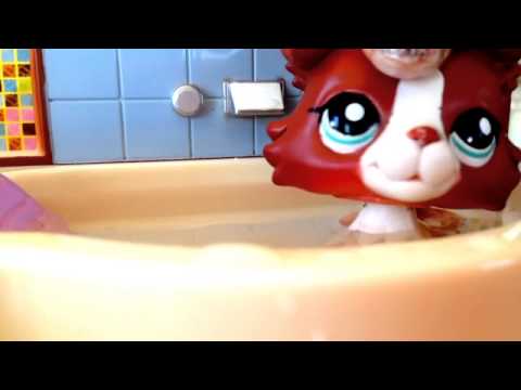 Littlest Pet Shop: Shower - Music Video (Happy 4th Of July)