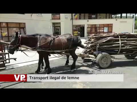 Transport ilegal de lemne