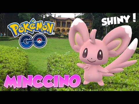 A LOUCURA DO DIA DO MINCCINO SHINY!  -Pokémon Go | Capturando Shiny #148 5ª Gen #20