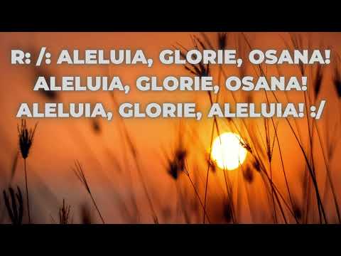 Virginia - Aleluia Glorie Osana versuri(lyrics)