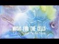 Emiliano Toso 432Hz Music For Cells Healing Relaxing By Bruce Lipton Musica Per Rilassarsi
