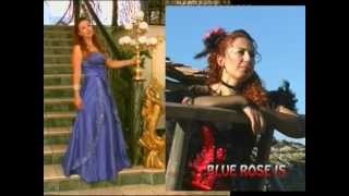 Marisa D&#39;Amato - Blue Rose is