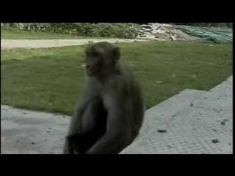 Riz Khan- Street Talk- 10 Dec 07