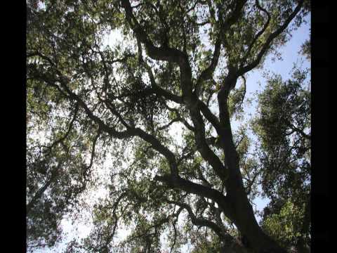 "Sick Muse" by Metric music video