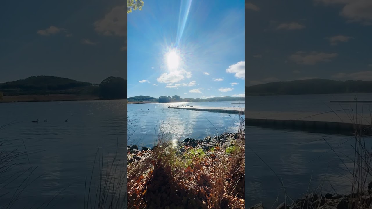 YouTube Short thumbnail