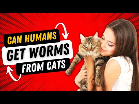 YouTube video about Are Cats a Source of Worms for Humans?
