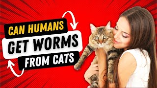 Can Humans Get Worms From Cats (How to Prevent From Cat Worms)