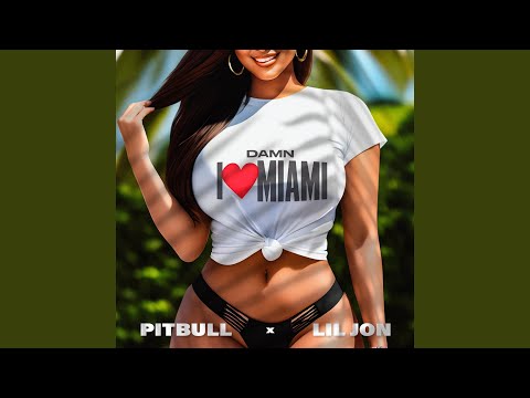 Damn I Love Miami